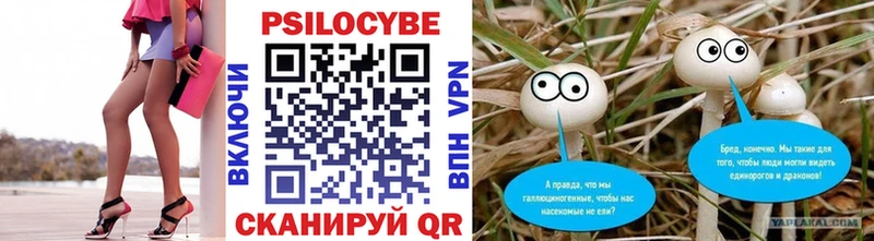 Купить закладки  Малаховка  Галлюциногенные грибы Magic Shrooms 